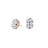 pose-1-DS-OV-RG-3.0.png
