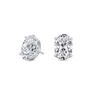 pose-1-DS-OV-WG-5.0.png