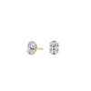 pose-1-DS-OV-YG-1.0.png