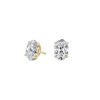 pose-1-DS-OV-YG-2.5.png