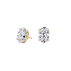pose-1-DS-OV-YG-3.0.png