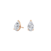 pose-1-DS-PE-RG-1.5.png