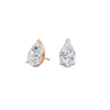 pose-1-DS-PE-RG-2.5.png