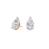 pose-1-DS-PE-RG-3.0.png