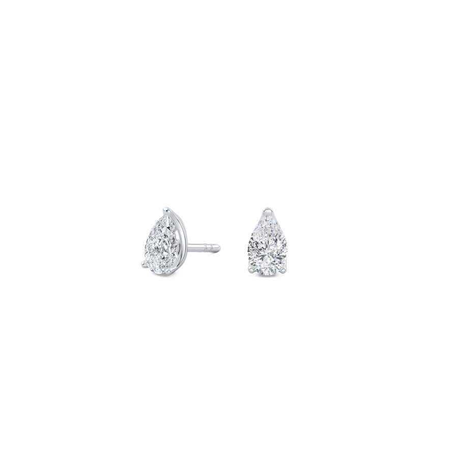 pose-1-DS-PE-WG-0.5.png