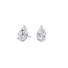 pose-1-DS-PE-WG-2.0.png