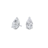 pose-1-DS-PE-WG-2.5.png