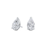 pose-1-DS-PE-WG-3.0.png