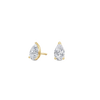 pose-1-DS-PE-YG-1.0.png
