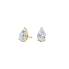 pose-1-DS-PE-YG-1.5.png