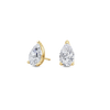 pose-1-DS-PE-YG-2.0.png