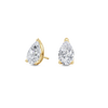 pose-1-DS-PE-YG-2.5.png