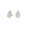 pose-1-DS-PE-YG-3.0.png