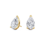 pose-1-DS-PE-YG-4.0.png