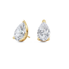 pose-1-DS-PE-YG-5.0.png