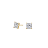 pose-1-DS-PR-YG-1.0.png