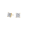 pose-1-DS-PR-YG-2.0.png