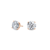 pose-1-DS-RD-RG-3.0.png