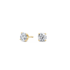 pose-1-DS-RD-YG-1.0.png
