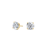 pose-1-DS-RD-YG-2.0.png