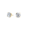 pose-1-DS-RD-YG-2.5.png