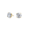 pose-1-DS-RD-YG-3.0.png