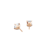 pose-2-DS-AC-RG-1.0.png