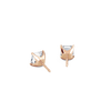 pose-2-DS-AC-RG-1.5.png
