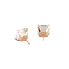 pose-2-DS-AC-RG-4.0.png