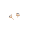 pose-2-DS-CU-RG-1.0.png