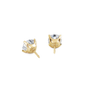 pose-2-DS-CU-YG-2.5.png
