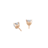 pose-2-DS-HT-RG-1.0.png