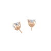 pose-2-DS-HT-RG-2.0.png