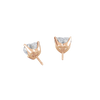 pose-2-DS-HT-RG-2.5.png