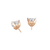 pose-2-DS-HT-RG-3.0.png