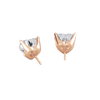 pose-2-DS-HT-RG-5.0.png