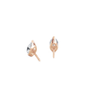 pose-2-DS-MQ-RG-1.0.png