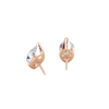 pose-2-DS-MQ-RG-3.0.png