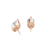 pose-2-DS-MQ-RG-4.0.png