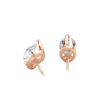 pose-2-DS-MQ-RG-5.0.png