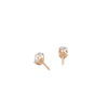 pose-2-DS-OV-RG-0.5.png