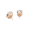 pose-2-DS-OV-RG-5.0.png