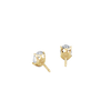 pose-2-DS-OV-YG-1.0.png