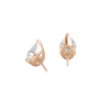 pose-2-DS-PE-RG-3.0.png
