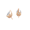 pose-2-DS-PE-RG-4.0.png