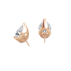 pose-2-DS-PE-RG-5.0.png