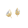 pose-2-DS-PE-YG-4.0.png