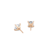 pose-2-DS-PR-RG-1.0.png