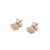 pose-3-DS-AC-RG-2.0.png