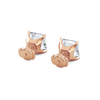 pose-3-DS-AC-RG-5.0.png